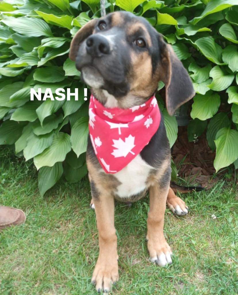 Nash is wondering if you’ll love him forever!